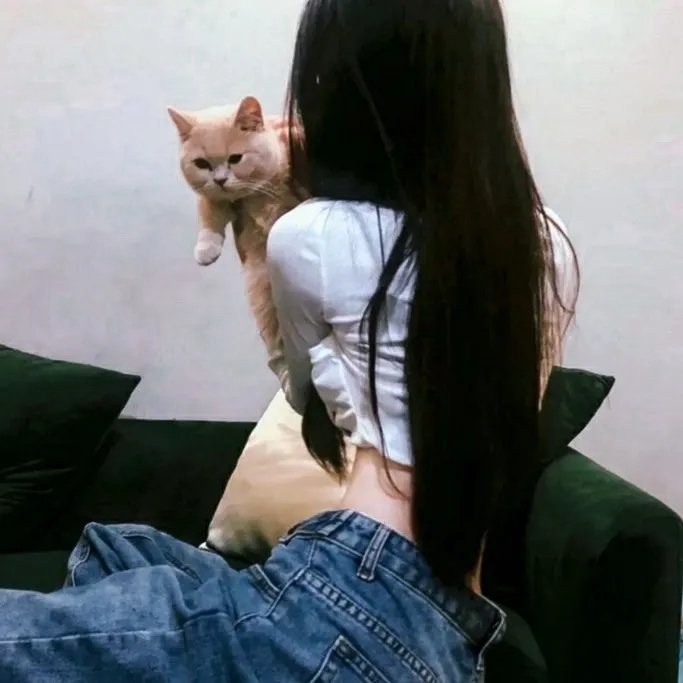 启航